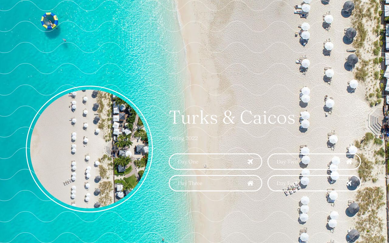 Carrd profile picture for @turks